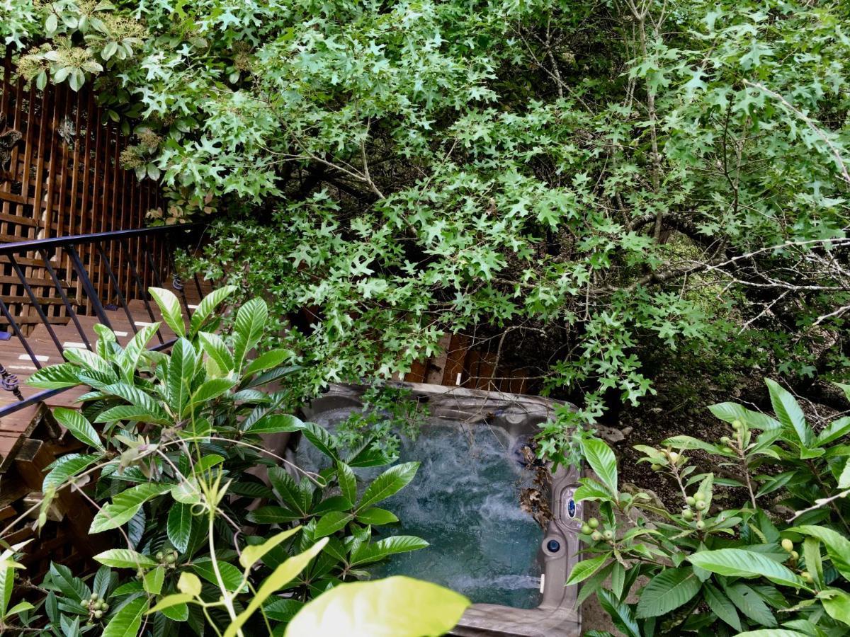 Casa Del Sol Bed And Breakfast Lakeway Eksteriør bilde